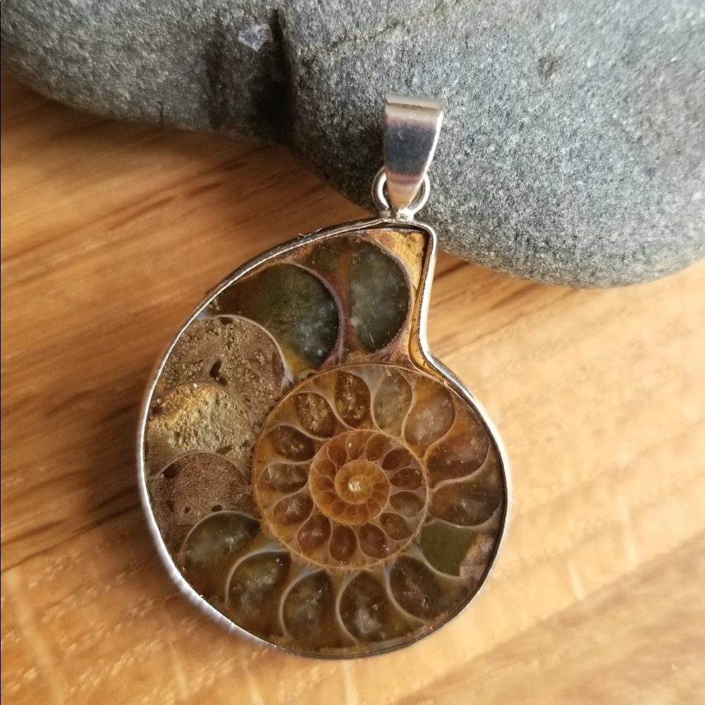 Ammonite Fossil Shell Pendant - image 1